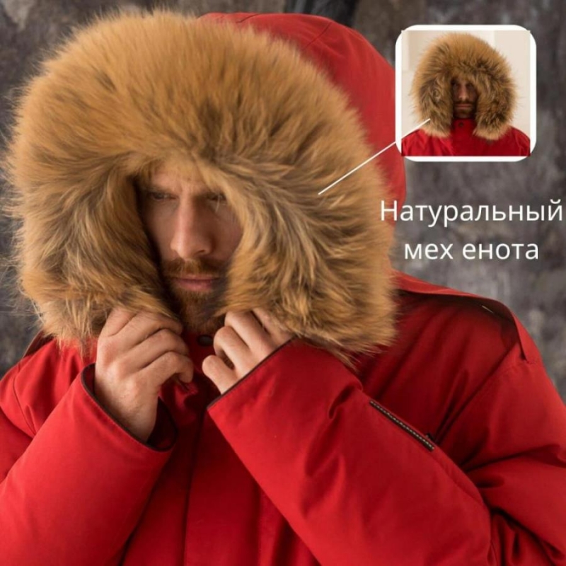 �e���a� o�y��� �a �����o� o� �po���o���e�� L�DY F��