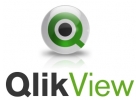 Бизнес аналитика QlikView для предприятий быстрого питания
